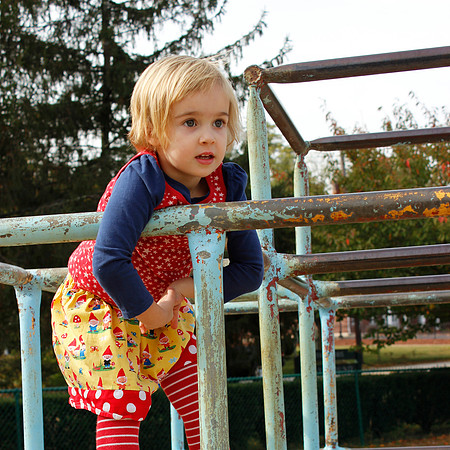 Jungle Gym