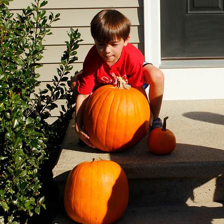 Pumpkins