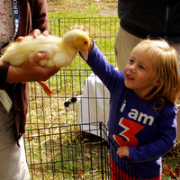 Petting zoo at Smith's Castle