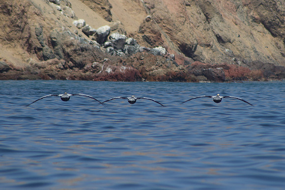On way to Ballestas Islands